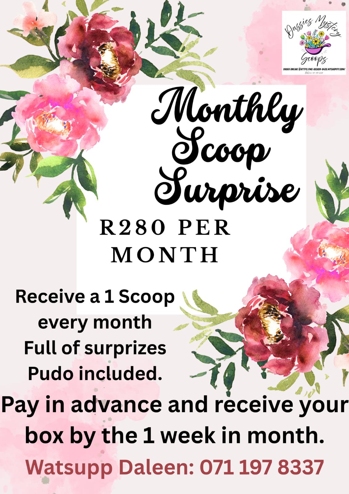 Monthly Mystery Scoop Box